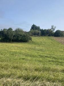 photo For sale Land AURIGNAC 31