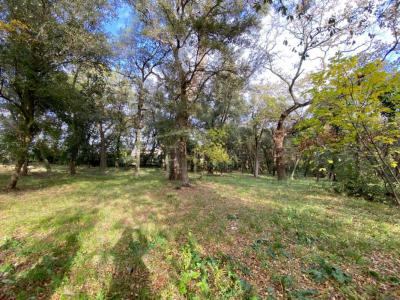 photo For sale Land SAINT-JEAN-DE-VEDAS 34