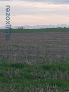 photo For sale Land LECTOURE 32