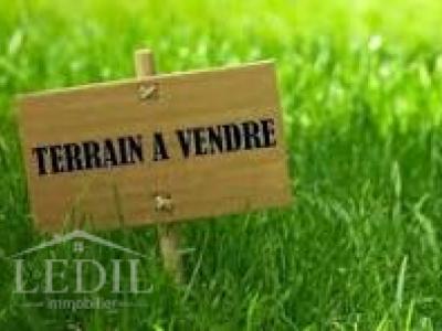 photo For sale Land TOURNAY 65