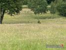 For sale Land Mandray  88650 10680 m2