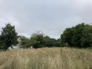 Land MAGNAC-BOURG 