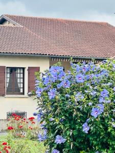 photo For sale House SAINT-GAUDENS 31