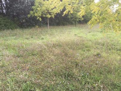 For sale Land TRESQUES  30