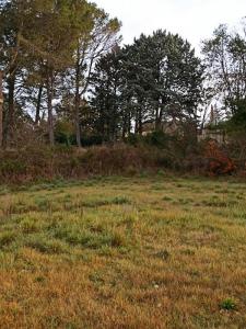 photo For sale Land SORGUES 84