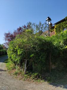 Vente Maison SAINT-AGNAN  71