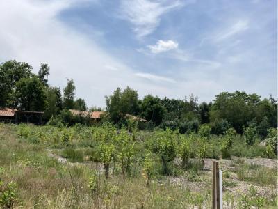 photo For sale Land LEOGNAN 33