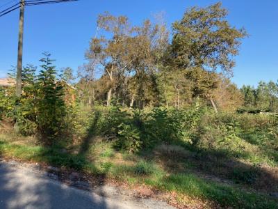 For sale Land QUINSAC  33