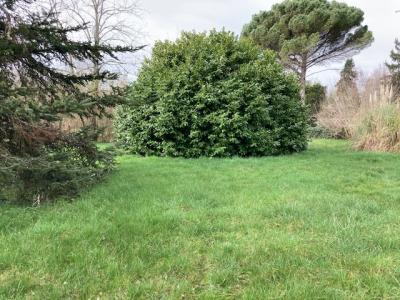 Vente Terrain SAINT-SELVE 33650