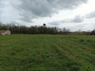 For sale Land BRACH  33