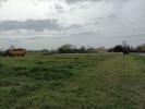 For sale Land Barp  33114 800 m2