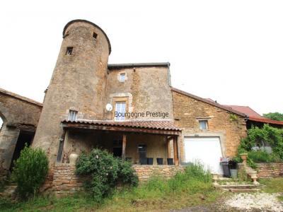 photo For sale House TOURNUS 71