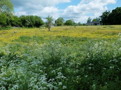 photo For sale Land BARDOUVILLE 76