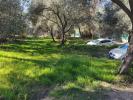 Annonce Vente Terrain Contes