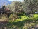 Acheter Terrain Contes