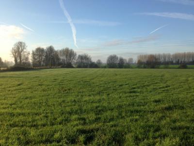 photo For sale Land SAULTAIN 59