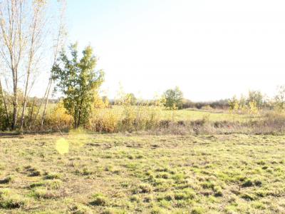 For sale Land NEGREPELISSE  82