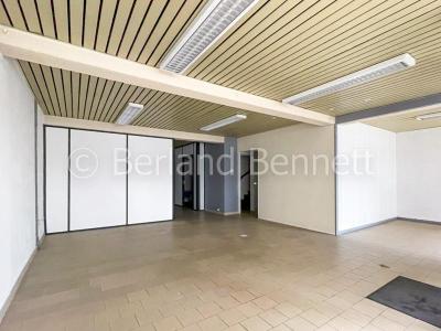 For sale House SAUZE-VAUSSAIS 