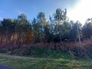 For sale Forested aera Bauge  49150 8234 m2