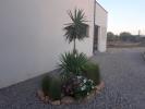 House LEUCATE 
