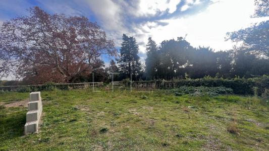 photo For sale Land MONTPELLIER 34