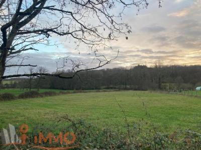 For sale Land TREIGNY  89