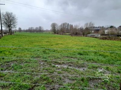 For sale Land WIGNEHIES  59