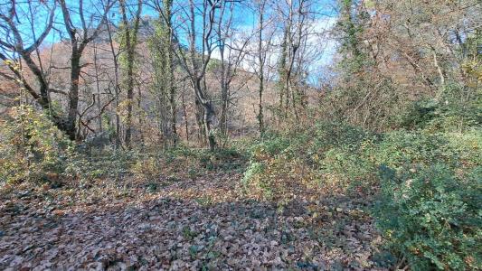 photo For sale Land MALAUCENE 84