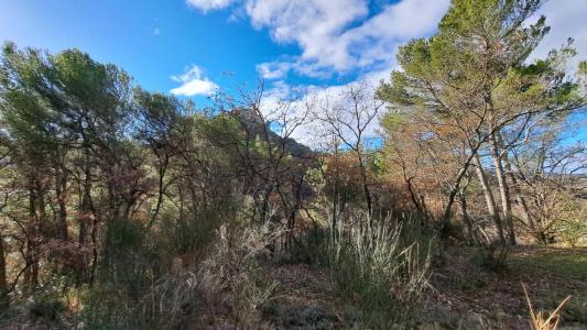 photo For sale Land MALAUCENE 84