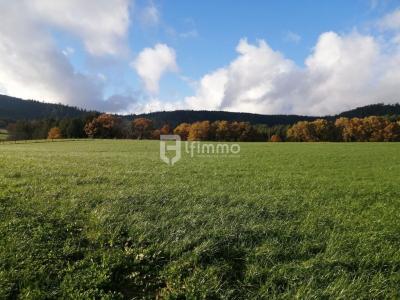 photo For sale Land POULIERES 88
