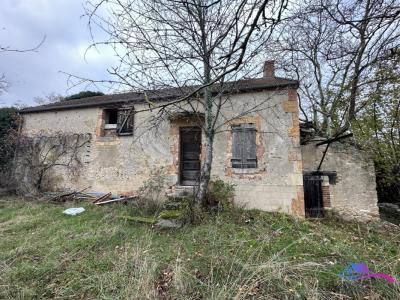 Vente Maison 3 pices EPINEUIL-LE-FLEURIEL 18360