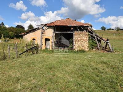 Vente Terrain SAINT-NIZIER-SOUS-CHARLIEU  42