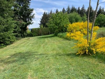For sale Land CHAUFFAILLES  71