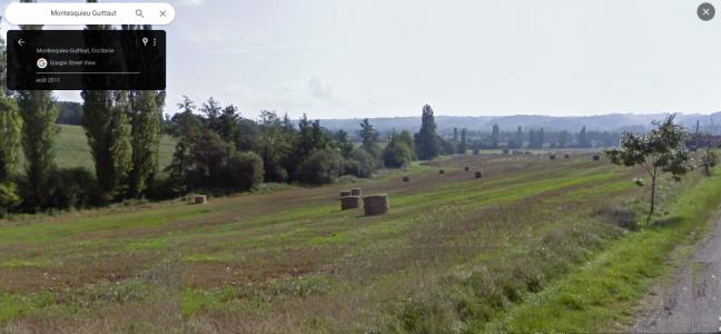 For sale Land MONTESQUIEU-GUITTAUT  31