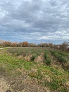 photo For sale Land PUYGIRON 26