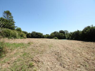 photo For sale Land TOLLEVAST 50
