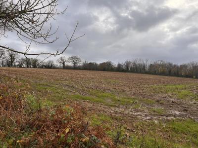 For sale Land MEAUFFE  50
