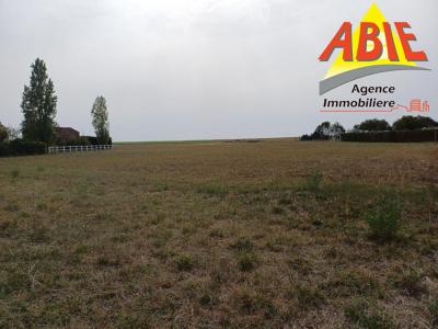 photo For sale Land FONTAINES 85