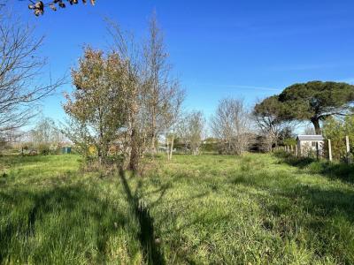 photo For sale Land MONTBETON 82