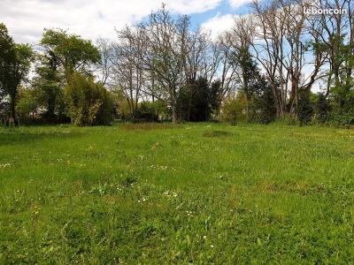 photo For sale Land SAINT-MARD 17