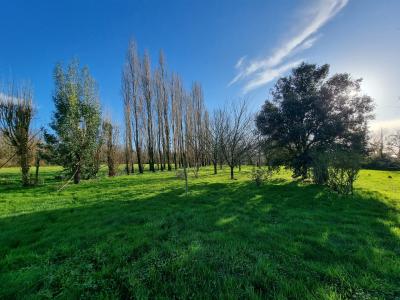 Vente Maison BOIS-DE-CENE 85710