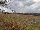 For sale Land Meauffe  50880 1100 m2