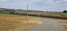For sale Land Auch  32000 1066 m2