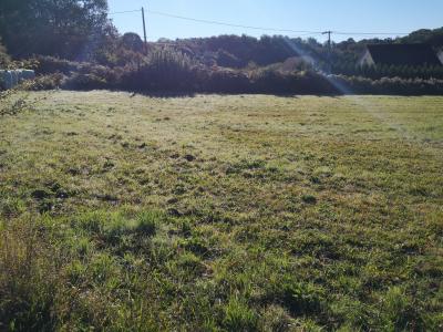 photo For sale Land LAGRAULIERE 19