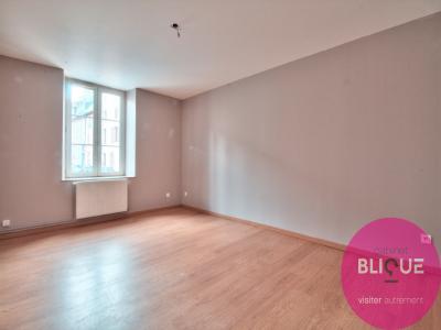 Vente Appartement LUNEVILLE 54300