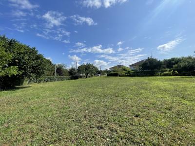 photo For sale Land BRIVE-LA-GAILLARDE 19