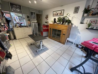 photo For sale Commerce EPINAL 88