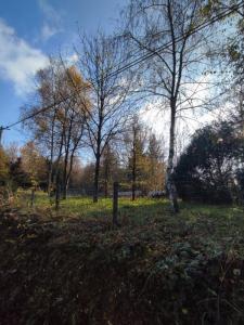 Vente Terrain BAIN-DE-BRETAGNE 35470
