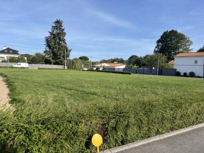 photo For sale Land BASSE-GOULAINE 44