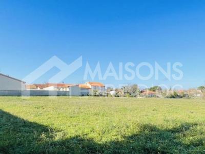 Vente Terrain MARSSAC-SUR-TARN  81